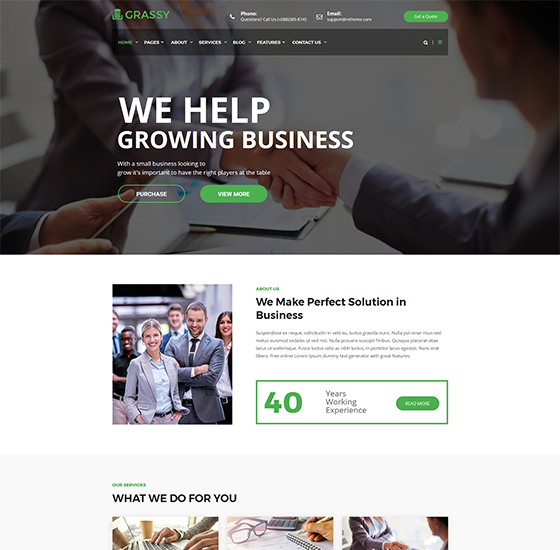 grassy home2 | Grassy - Business WordPress Theme
