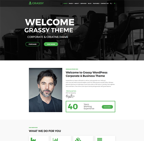 grassy home3 | Grassy - Business WordPress Theme
