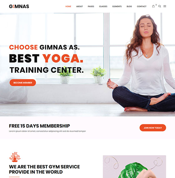 home41 | Gimnas - Gym Fitness WordPress Theme