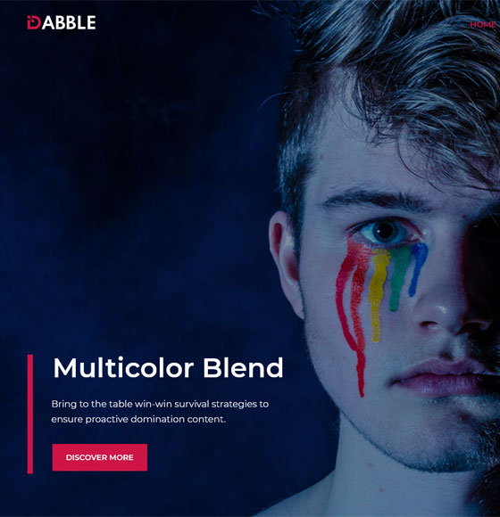 home111 | Dabble - Creative Agency WordPress Theme