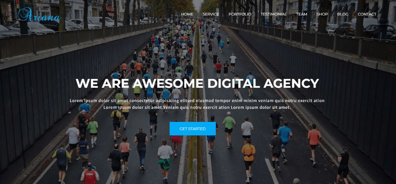 Ariana - Digital Agency WordPress Theme