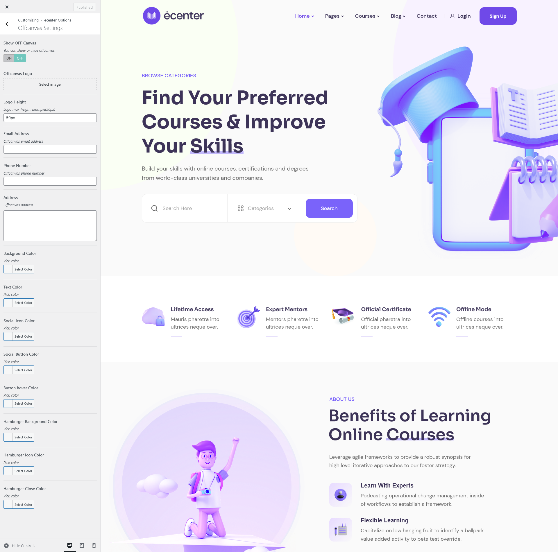 offcanvas setting themeopt ecenter | Offcanvas Section