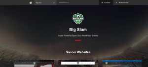 Best 11 Soccer & Football Club WordPress Theme for 2023 12 Soccer WordPress