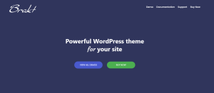 Top 10 Best Portfolio WordPress Themes 5 Personal Portfolio WordPress Theme