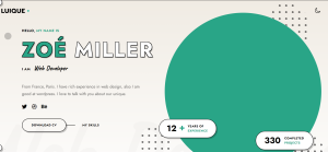Top 10 Best Portfolio WordPress Themes 10 Screenshot 59 | Top 10 Best Portfolio WordPress Themes