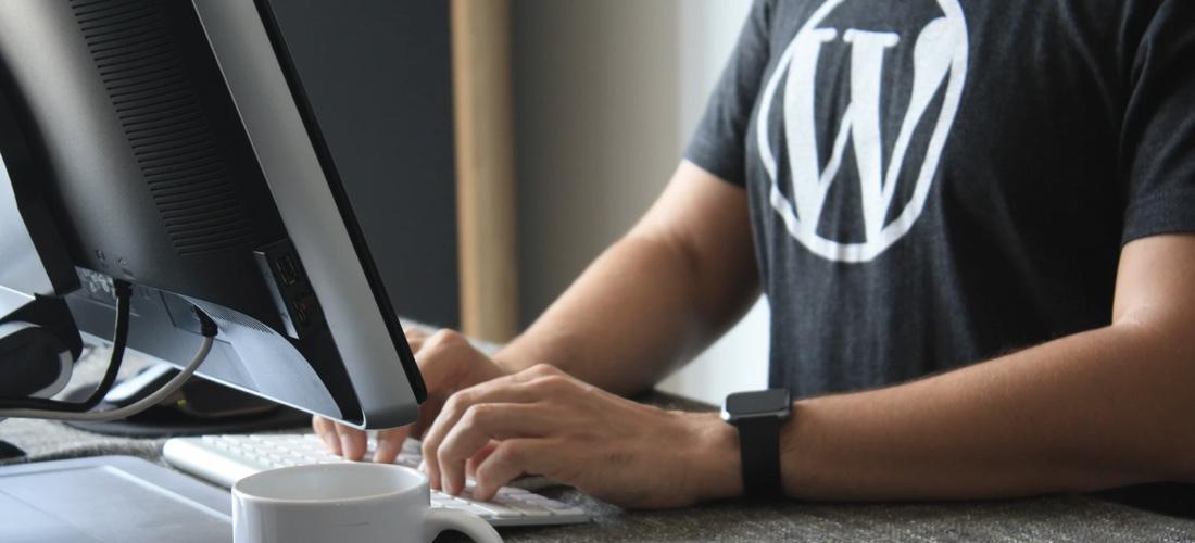 Tips for Selling Your First WordPress Theme 1 how to promote wordpress theme | Tips for Selling Your First WordPress Theme