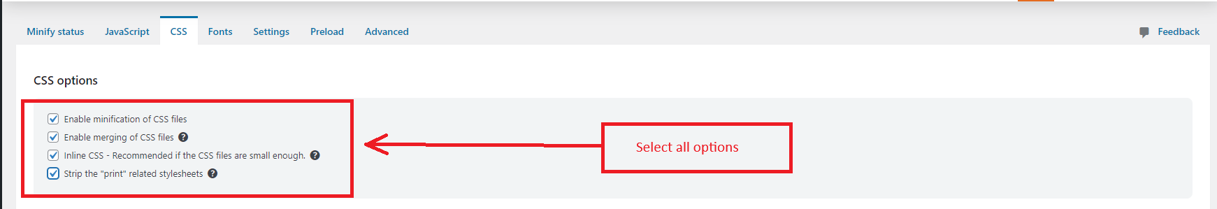 How to Optimize WordPress Themes by RSTheme 8 Minify CSS and JavaScript files to reduce their size.