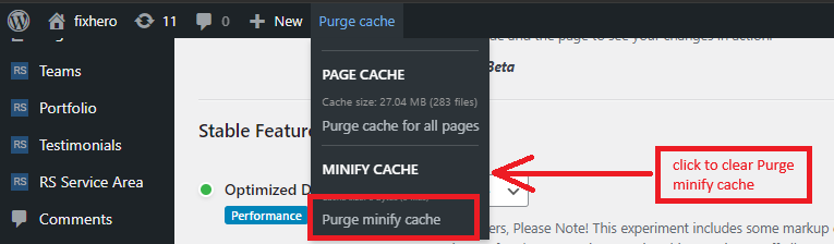 How to Optimize WordPress Themes by RSTheme 13 click to clear Purge minify cache