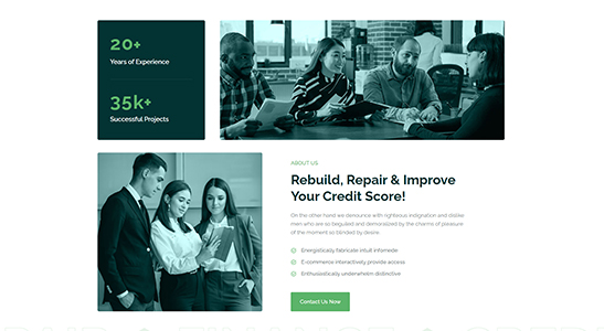 credio inner 1 | Credio - Finance Business and Credit Repair WordPress Theme