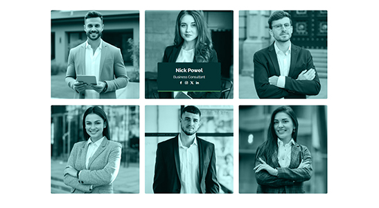 credio inner 5 | Credio - Finance Business and Credit Repair WordPress Theme