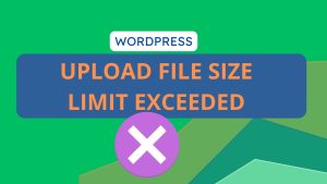 14 Most Common WordPress Errors and How to Resolve Them 11 10. Upload File Size Limit Exceeded