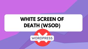 14 Most Common WordPress Errors and How to Resolve Them 3 White Screen of Death (WSOD)
