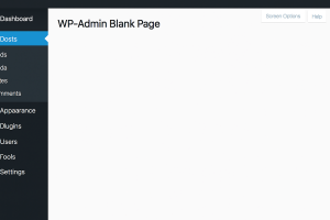 14 Most Common WordPress Errors and How to Resolve Them 15 WP-Admin Blank Page