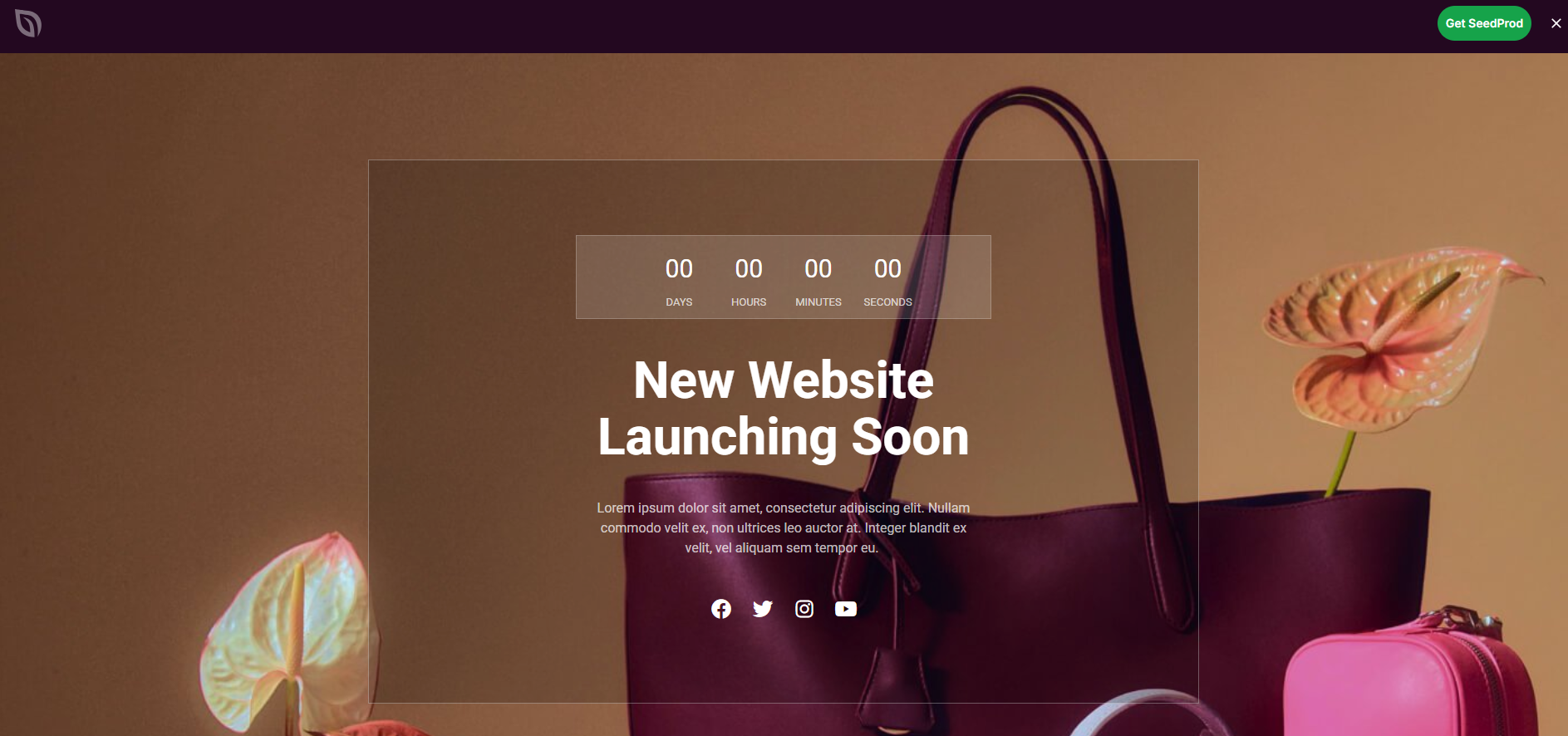 Top 7 Free Coming Soon and Maintenance Mode WordPress Plugin in 2025 3 Screenshot 27 | Top 7 Free Coming Soon and Maintenance Mode WordPress Plugin in 2025