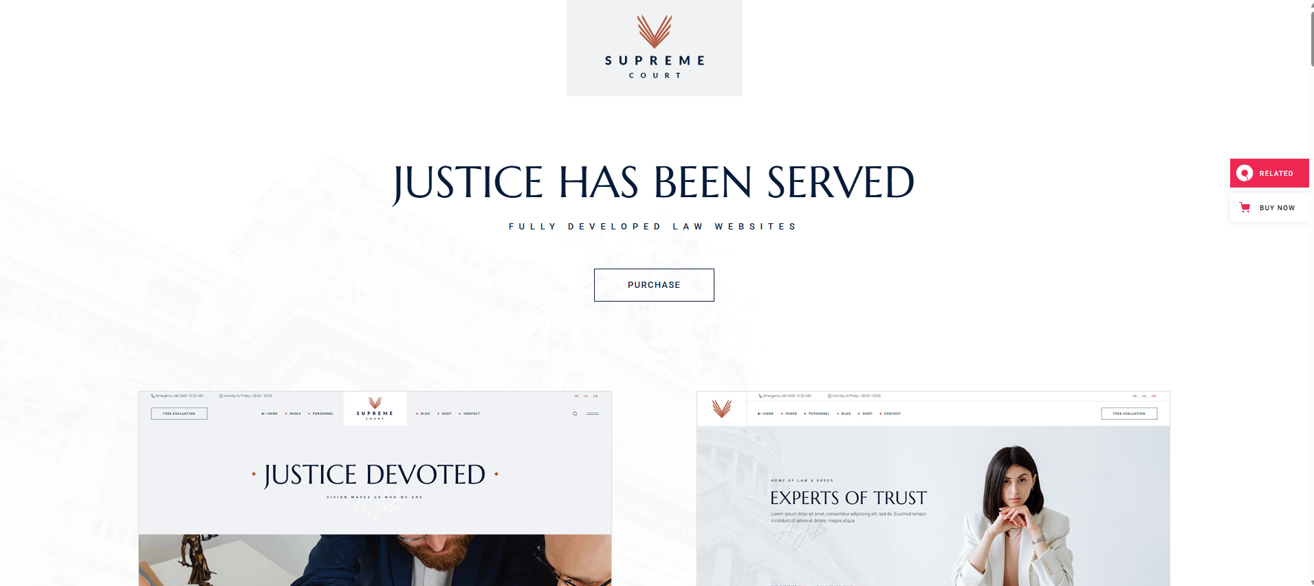 31 Best Law Firm WordPress Themes for 2025 (Experts Review) 25 Screenshot 87 | 31 Best Law Firm WordPress Themes for 2025 (Experts Review)