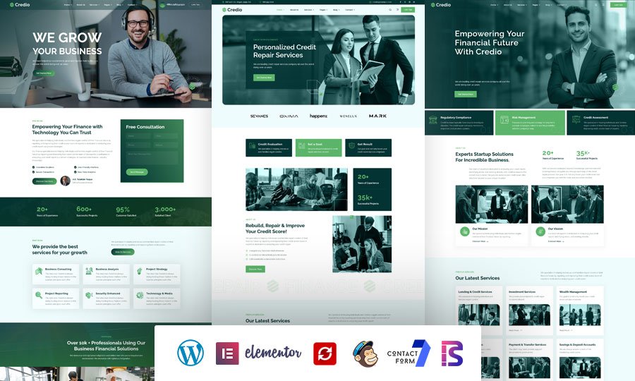 Top 11 Responsive WordPress Themes for Multipurpose Business 9 credio