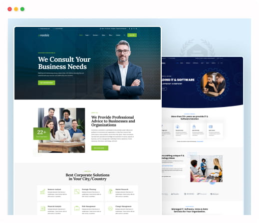 reobiz product thumb | Reobiz - Consulting Business WordPress Theme